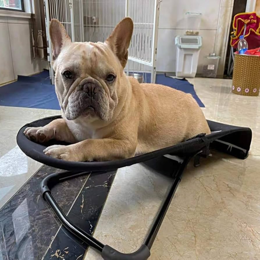 ZenTail Hamaca Relax para Mascotas