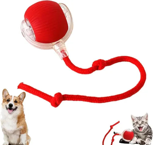 Diversión Inteligente Para Tu Mascota