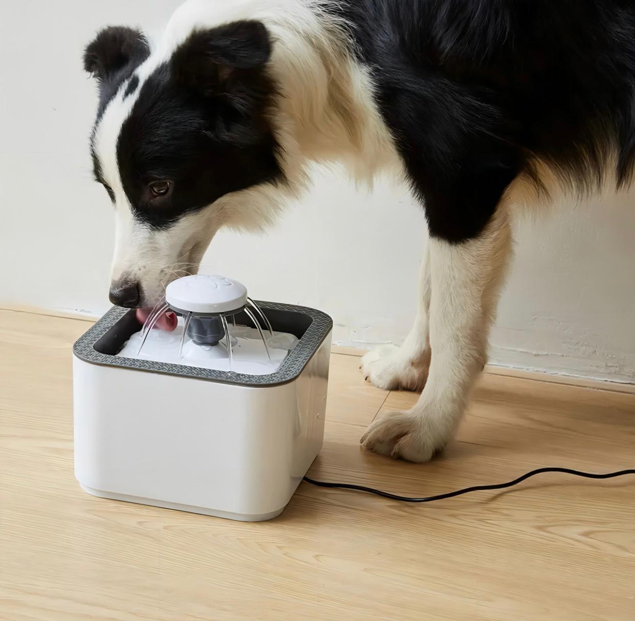 HydroPet – Fuente de Hidratación para Mascotas